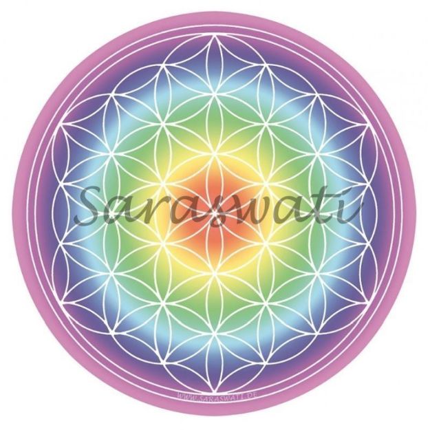 Bild von Aufkleber 14 cm Blume des Lebens bunt