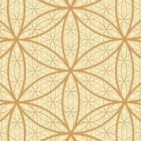 Zeige Details für Leinwanddruck Endlos BdL ocker 40x40 Bild von Leinwanddruck Endlos BdL ocker 40x40