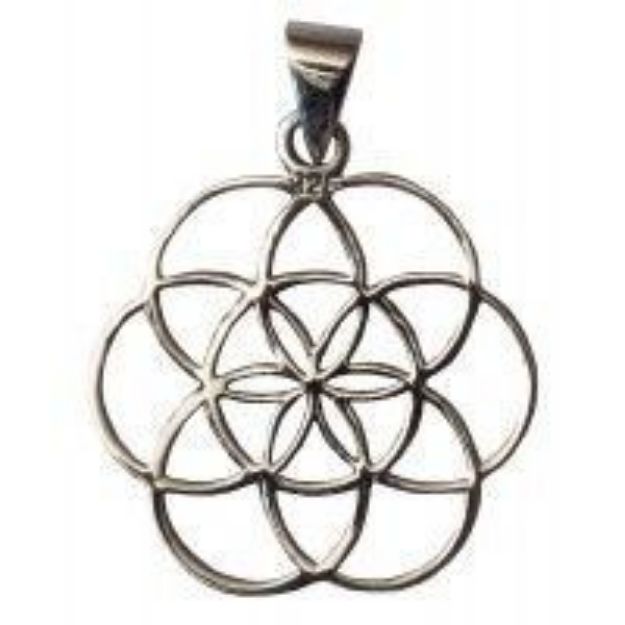 Bild von Anhänger Saat des Lebens Bronze versilbert 1,5g 2cm