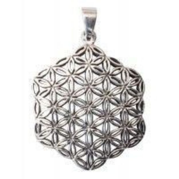 Bild von Anhänger Blume des Lebens Bronze versilbert 9,7g 3cm