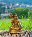 Bild von Shiva, 10cm