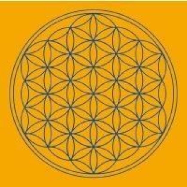 Bild von Leinwanddruck Blume des Lebens Sakral-Chakra orange 20x20cm