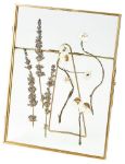 Bild von Blatt & Blüte Trockenblumen-Bilderrahmen, VE-6