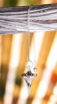 Bild von Trichterpendel, Messing versilbert