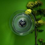 Bild von Vase FLORA klein, mit Edelsteineinsatz von Vitajuwel