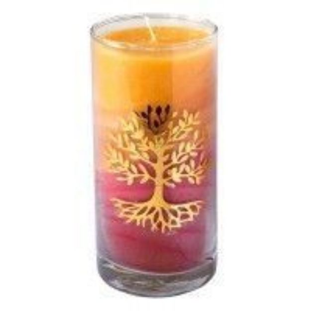 Bild von Stearin-Palmwachskerze Lebensbaum Sunset 14 cm, Stearinwachs und Glas