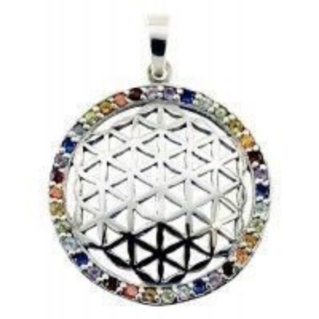 Bild von Anhänger Blume des Lebens 2.5 cm, Messing versilbert