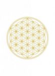 Bild von Trinkflasche Flower of Life - Blume des Lebens 0.6l von soulbottles