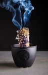 Bild von Smudge Bowl Lebensbaum
