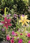 Bild von Blatt & Blüte Windrad, VE-18