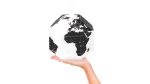 Bild von Palomar DearWorld Globe Small by countries S