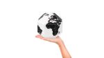 Bild von Palomar DearWorld Globe Extra small countries XS
