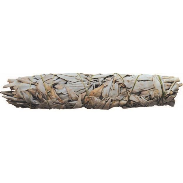 Bild von Räucherstick Weisser Salbei Smudge 20 cm