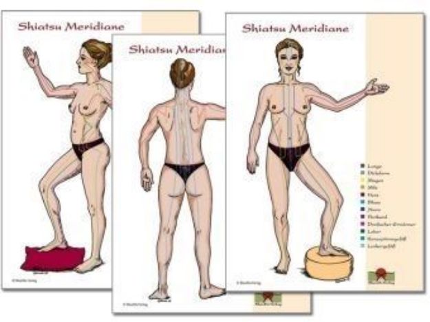 Bild von Loh, Nirgun W.: Shiatsu Meridian Schaubilder DIN A3