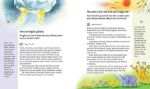 Bild von Wright S: Lass uns die Bibel entdecken