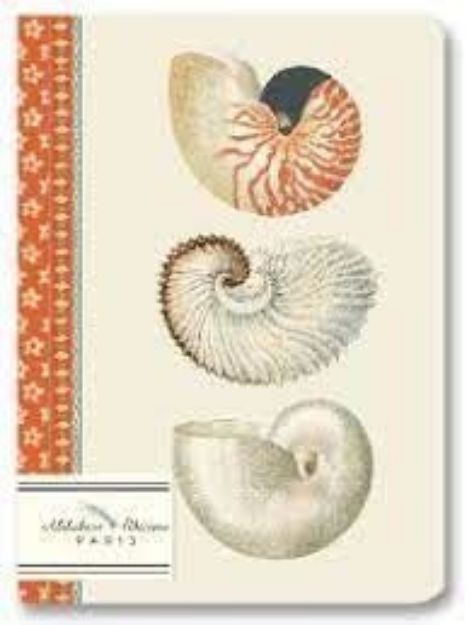 Bild von Notizheft Nautilus, A6