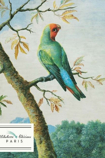 Bild von Notizheft Tropiques