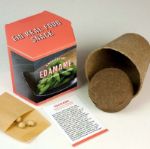 Bild von Anzuchtset Edamame