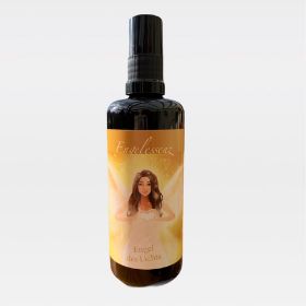 Zeige Details für Tester Engel des Lichts von Melanie Missing Bild von Tester Engel des Lichts von Melanie Missing