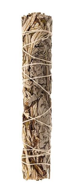 Bild von Weisser Salbei/Yerba Santa L: 22 cm