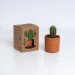 Bild von Mr. Cactus