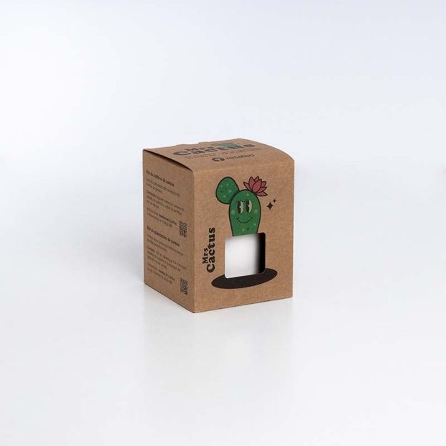 Bild von Mrs. Cactus