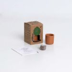 Bild von Baby Cactus