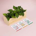 Bild von Spicy Growing Kit (chili pepper, habanero, jalapeño)