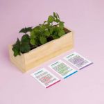Bild von Desserts Growing Kit (strawberry, blackberry, redcurrant)