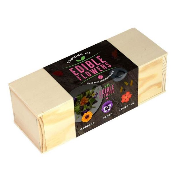 Bild von Edible Flowers Growing Kit (marigold, pansy, nasturtium)