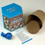 Bild von Dandelion Growing Kit