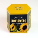 Bild von Sunflower Growing Kit