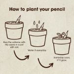 Bild von Plantable pencils (Chamomille)
