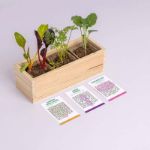 Bild von Mini garden Strange vegetables