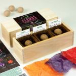 Bild von Kit d’Auto-culture Fleurs comestibles (souci, pensée et capucine)