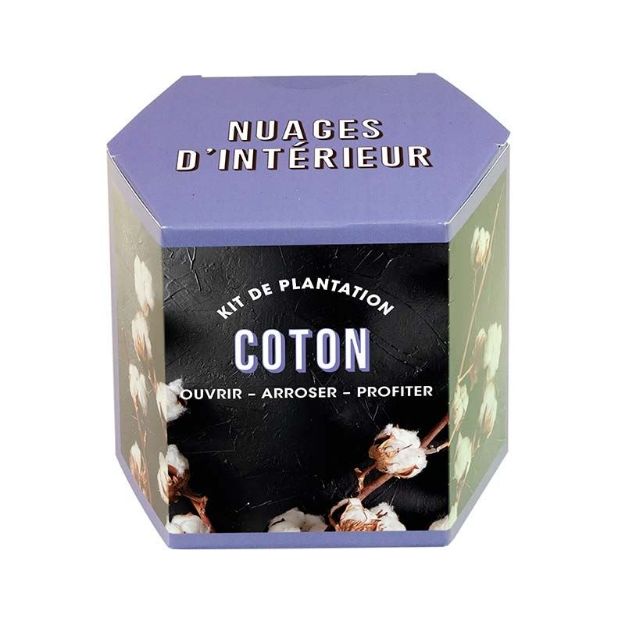 Bild von Kit d’Auto-culture Coton