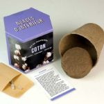 Bild von Kit d’Auto-culture Coton