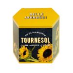 Bild von Kit d’Auto-culture Tournesol