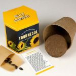 Bild von Kit d’Auto-culture Tournesol
