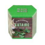 Bild von Kit d’Auto-culture Cataire