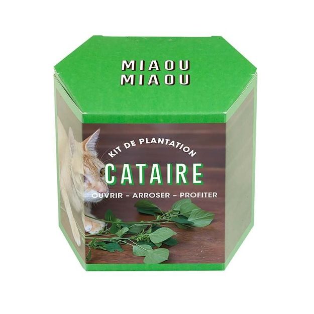 Bild von Kit d’Auto-culture Cataire