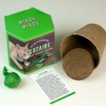 Bild von Kit d’Auto-culture Cataire
