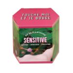 Bild von Kit d’Auto-culture Sensitive
