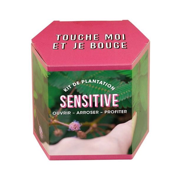 Bild von Kit d’Auto-culture Sensitive