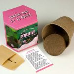 Bild von Kit d’Auto-culture Sensitive