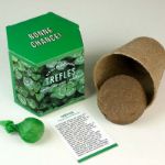 Bild von Kits divers (Trefles)