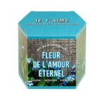 Bild von Kit d’Auto-culture Fleur de l’Amour Eternel