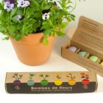 Bild von Pack de 6 Bombes Aromatiques