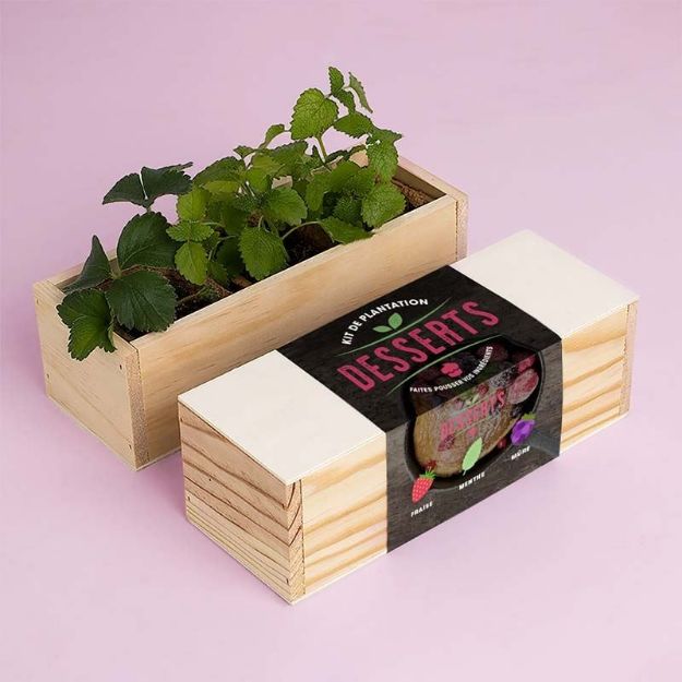 Bild von Kit d’Auto-culture Desserts (fraise, menthe et mûre)