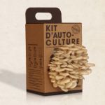 Bild von Kit d´auto-culture Pleurote